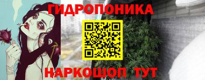 гашик Татарск