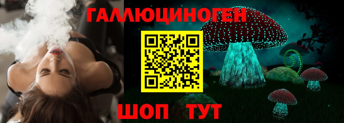 Псилоцибиновые грибы мицелий Новоалександровск